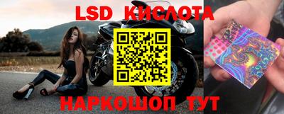 дурь Будённовск