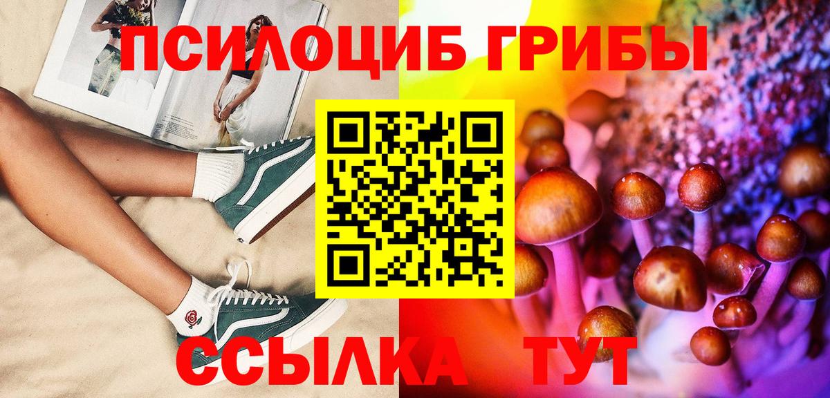 Псилоцибиновые грибы Cubensis Тейково