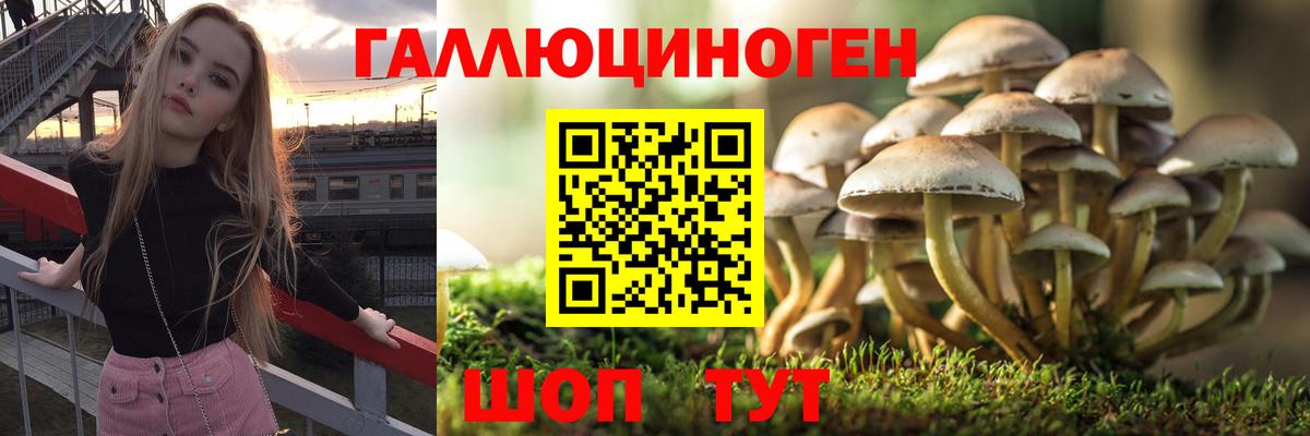 Псилоцибиновые грибы GOLDEN TEACHER  Вход с VPN  Тейково 